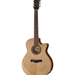 Richwood SWG-150W-CE 48mm