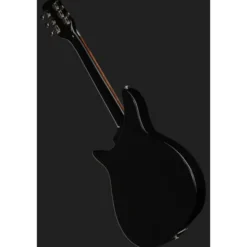 Rickenbacker 325C64 JG