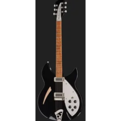 Rickenbacker 330 JG