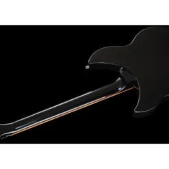 Rickenbacker 330 JG