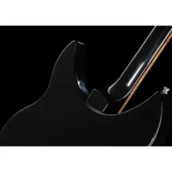 Rickenbacker 330 JG