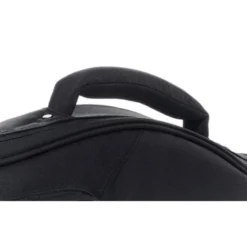 Ritter Arosa Bass Guitar SBK