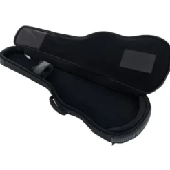 Ritter Arosa Bass Guitar SBK