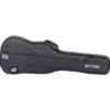 Ritter Bern Electric Bass ANT