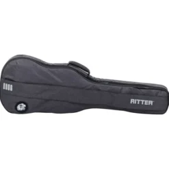Ritter Bern Electric Bass ANT