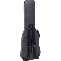 Ritter Bern Electric Bass ANT