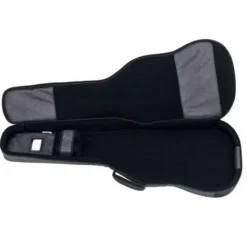 Ritter Bern Electric Bass ANT