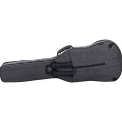 Ritter Bern Electric Bass ANT