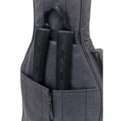 Ritter Bern Electric Bass ANT