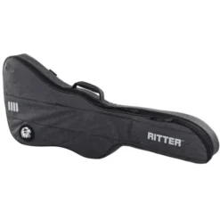 Ritter Bern Explorer Guitar ANT