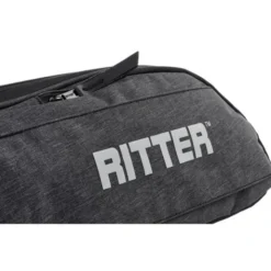 Ritter Bern Explorer Guitar ANT