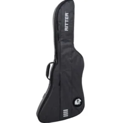 Ritter Bern Explorer Guitar ANT