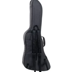 Ritter Bern Explorer Guitar ANT