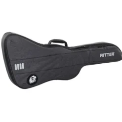 Ritter Bern Explorer Guitar ANT