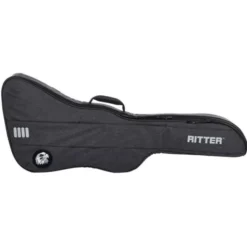 Ritter Bern Explorer Guitar ANT