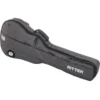 Ritter Bern 335 Guitar ANT