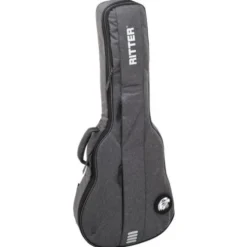 Ritter Bern 335 Guitar ANT
