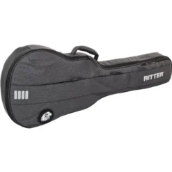 Ritter Bern 335 Guitar ANT