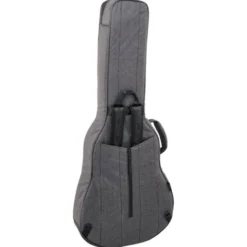 Ritter Bern 335 Guitar ANT