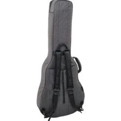 Ritter Bern 335 Guitar ANT