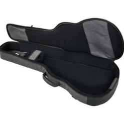 Ritter Bern 335 Guitar ANT