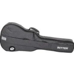 Ritter Bern 335 Guitar ANT