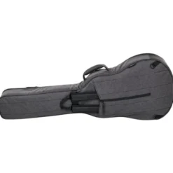 Ritter Bern 335 Guitar ANT