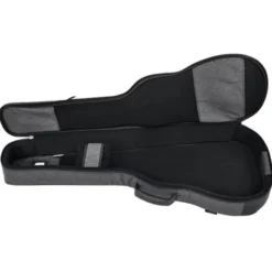 Ritter Bern 335 Guitar ANT