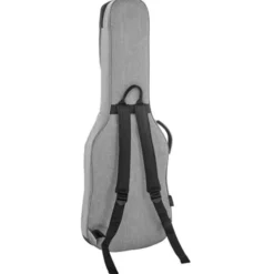 Ritter Carouge Electric Guitar EGR
