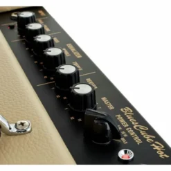 Roland Blues Cube Hot VB