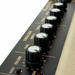 Roland Blues Cube Hot VB