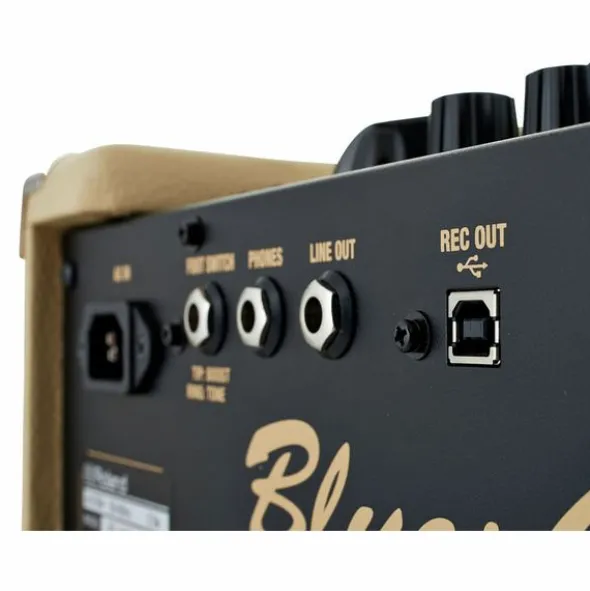 Roland Blues Cube Hot VB