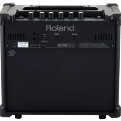 Roland Cube-10GX