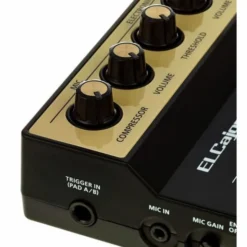 Roland EC-10M ELCajon Mic Processor