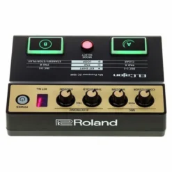 Roland EC-10M ELCajon Mic Processor