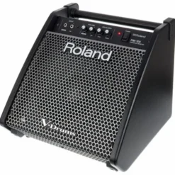 Roland PM-100 Personal Drum Monitor
