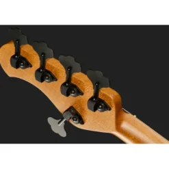 Sadowsky Custom Shop 24-5 Ebony Top NTS
