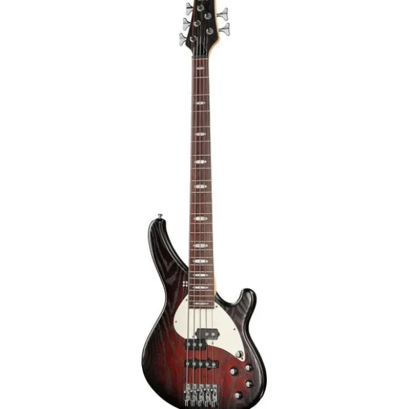 Sandberg Custom 5 Yolanda Charles Sig
