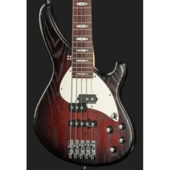 Sandberg Custom 5 Yolanda Charles Sig