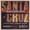 Santa Cruz Parabolic Strings DADGAD Mid