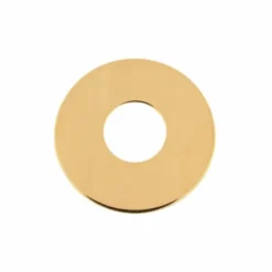 Schaller Toggle Switch Plate G