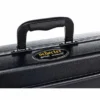 Schecter Case Synyster