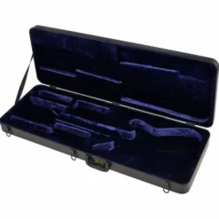 Schecter Case Synyster