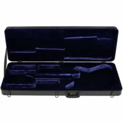 Schecter Case Synyster