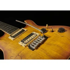 Schecter C-1 Exotic Spalted Maple SNVB