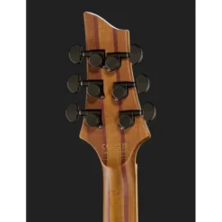 Schecter C-1 Exotic Spalted Maple SNVB
