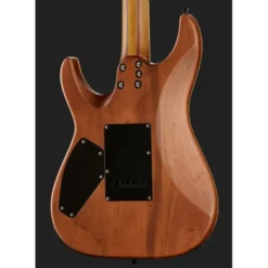 Schecter C-1 Exotic Spalted Maple SNVB