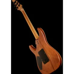 Schecter C-1 Exotic Spalted Maple SNVB