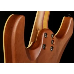Schecter C-1 Exotic Spalted Maple SNVB