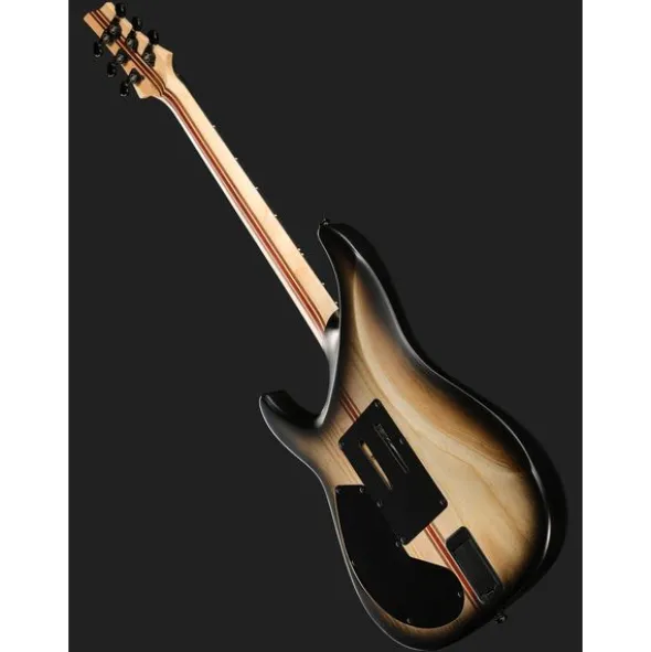 Schecter C-1 FR S Pale Moon SNBB